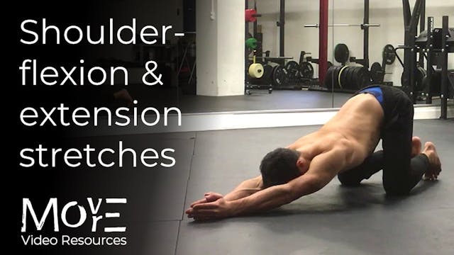 Shoulder-flexion & extension stretches