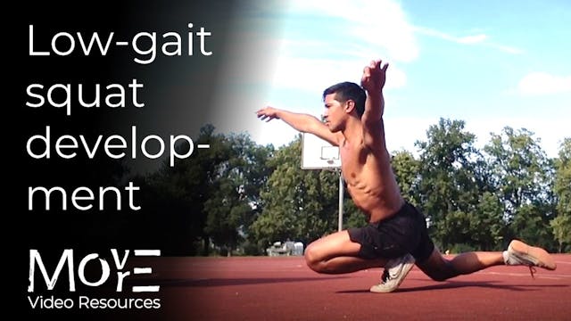 'Low-gait' Squat (LGS) development