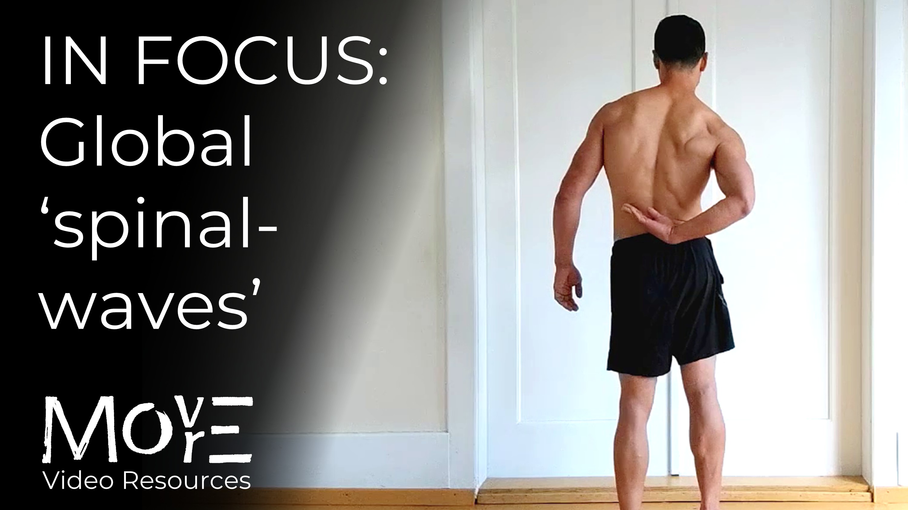 In Focus - Spinal Waves