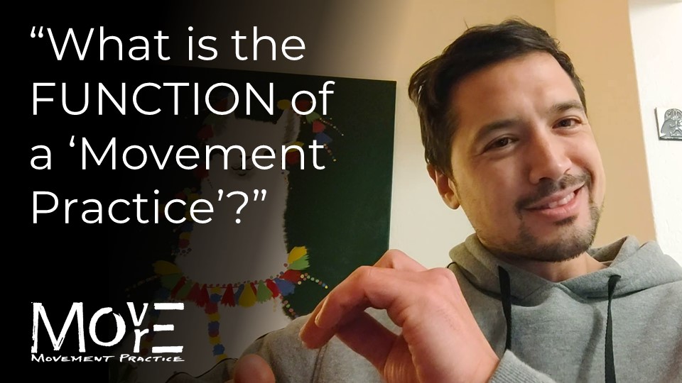 Perspectives: What is the FUNCTION of a 'Movement Practice'?