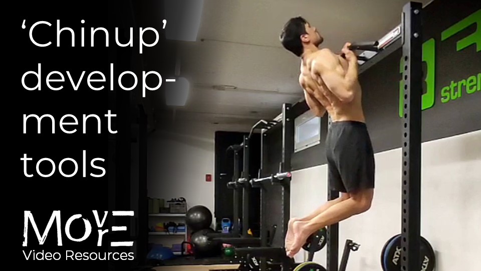 The Chinup (supinated grip)