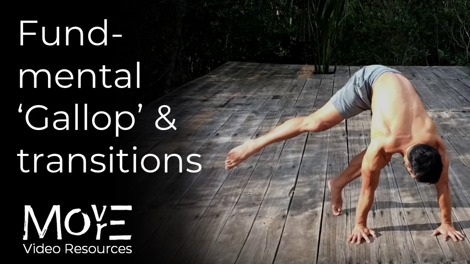 The fundamental 'Gallop' & transitions