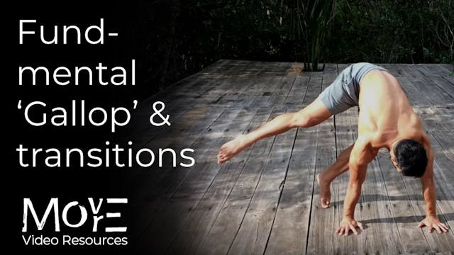 The fundamental 'Gallop' & transitions