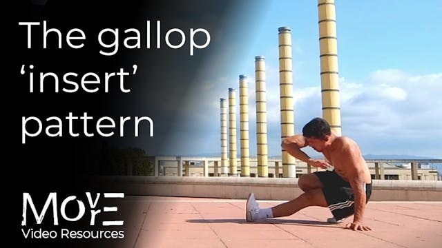 The Gallop ‘insert’