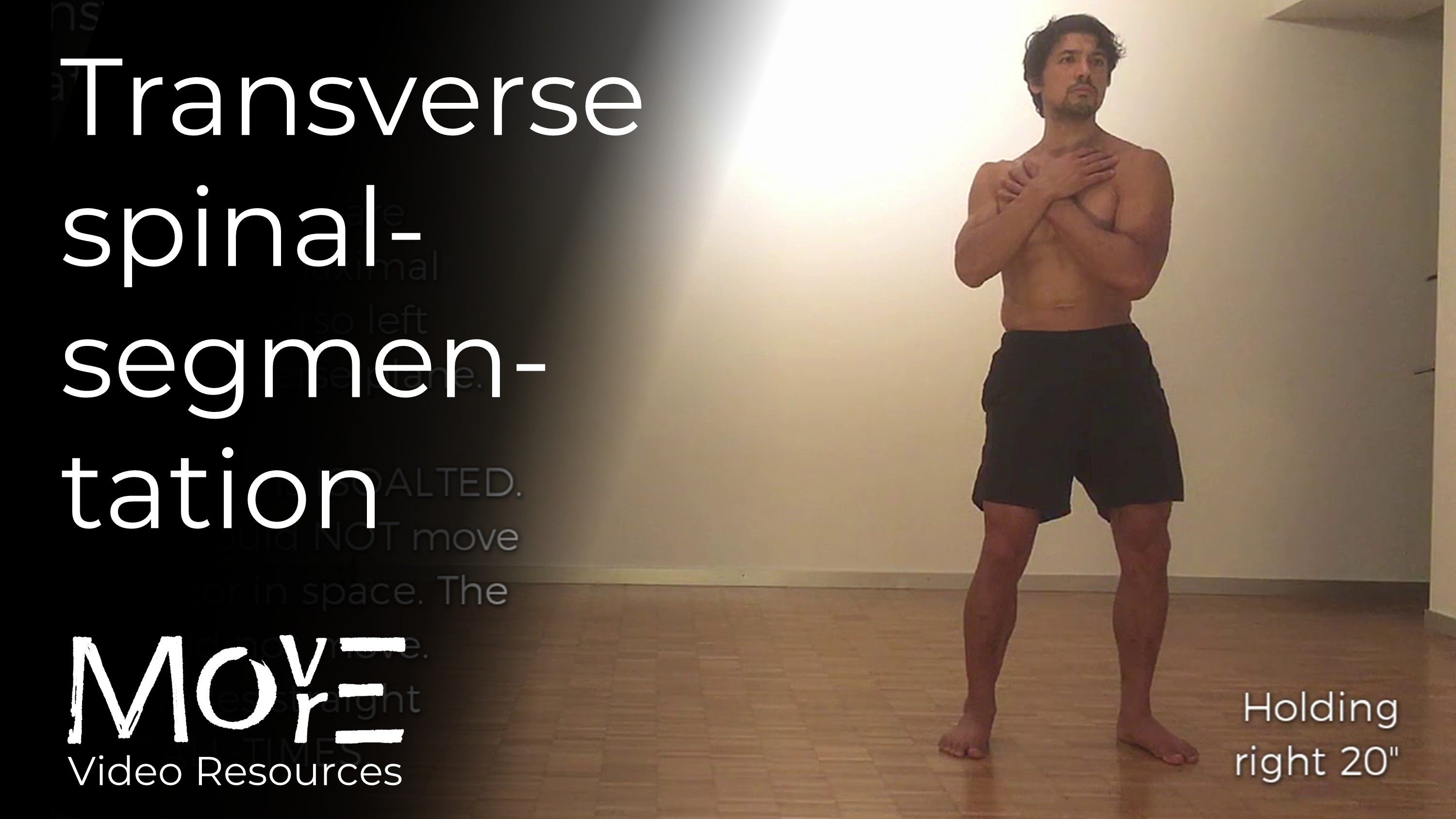 Transverse spinal-segmentation 