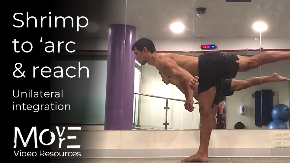 Shrimp to 'arc & reach' integration