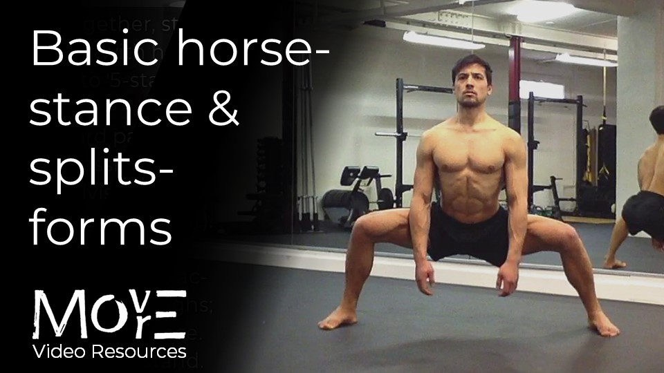 Basic '("Northern") Horse-stance' & 'Splits' forms
