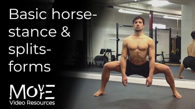 Basic '("Northern") Horse-stance' & '...