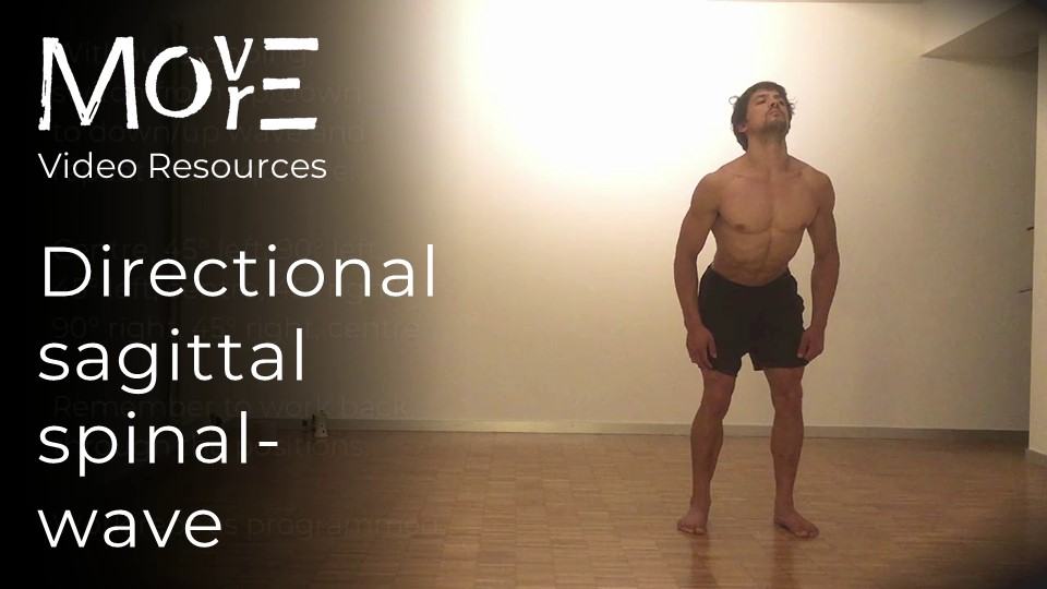 Directional sagittal spinal-wave