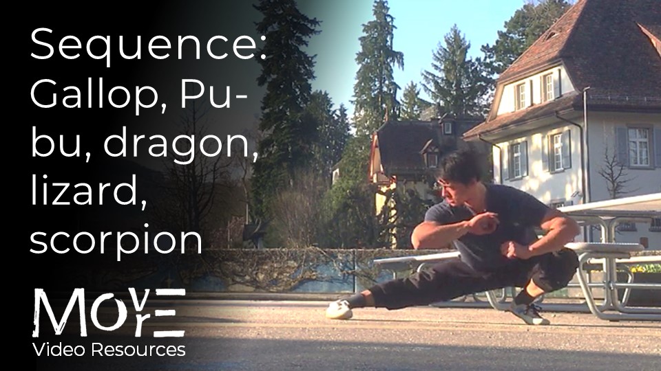 Gallop -> 'Pu-bu' -> Dragon -> Lizard -> (bent-arm) Scorpion -> Role