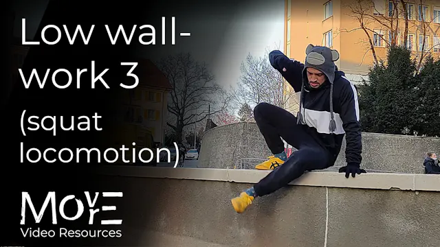 Low wall-work 3: Squat-locomotion pat...