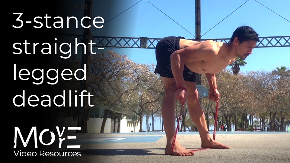 3-stance SLDL (with resistance band)