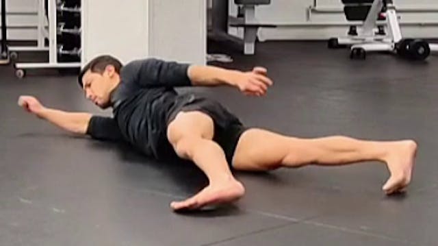 Floor-contact locomotion & transitions