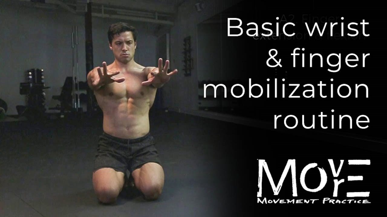 Hand Mobilizations Basic Wrist & Finger Mobilization 1.0 - RE-/PREHAB: Fingers, wrists ...