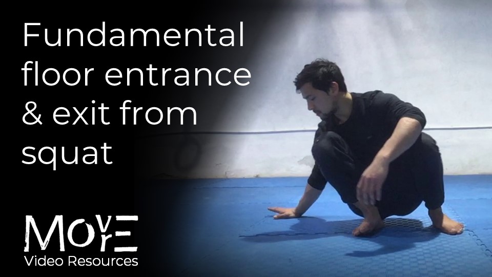 Fundamental Floor Entrances (FEN) and Exits (FEX) from squat