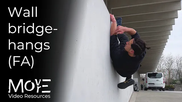 Wall bridge-hangs free-association (FA)