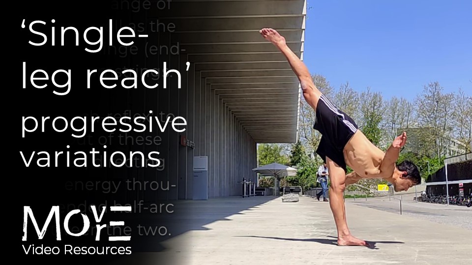 'Single-leg (SL) reach' progressive variations