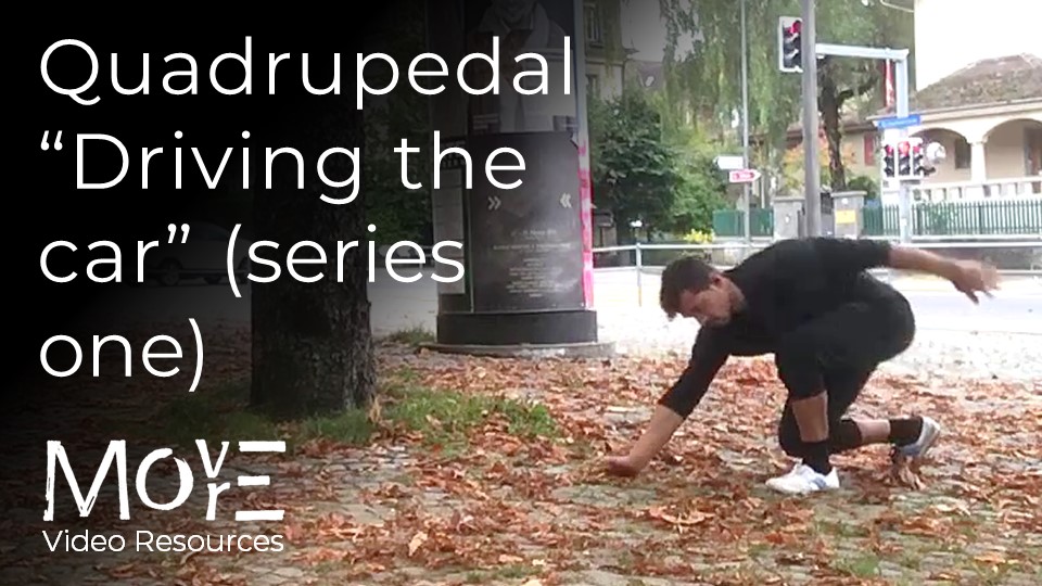 Quadrupedal "Driving the car" (series one)