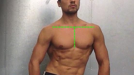 Spine & scap: 'local' & integrated patterns