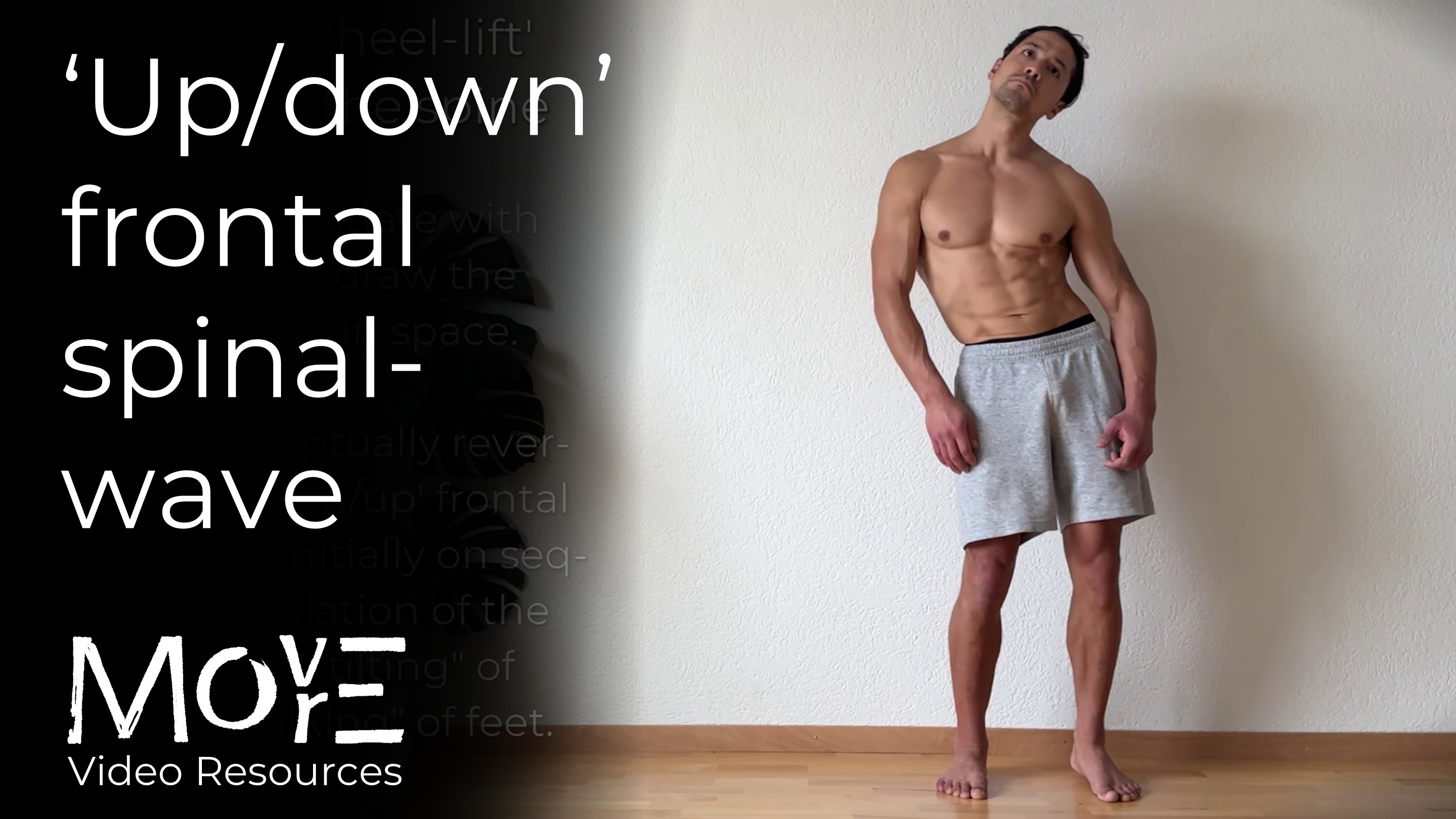 ‘Up/down’ frontal spinal-wave