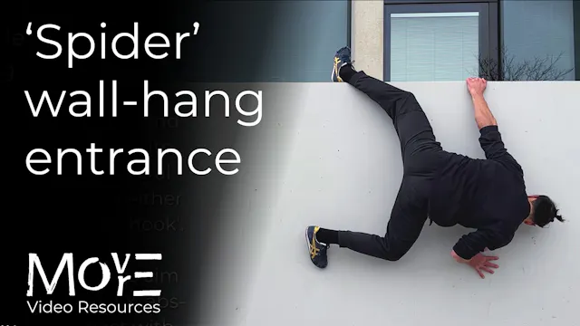 'Spider' wall-hang entrance