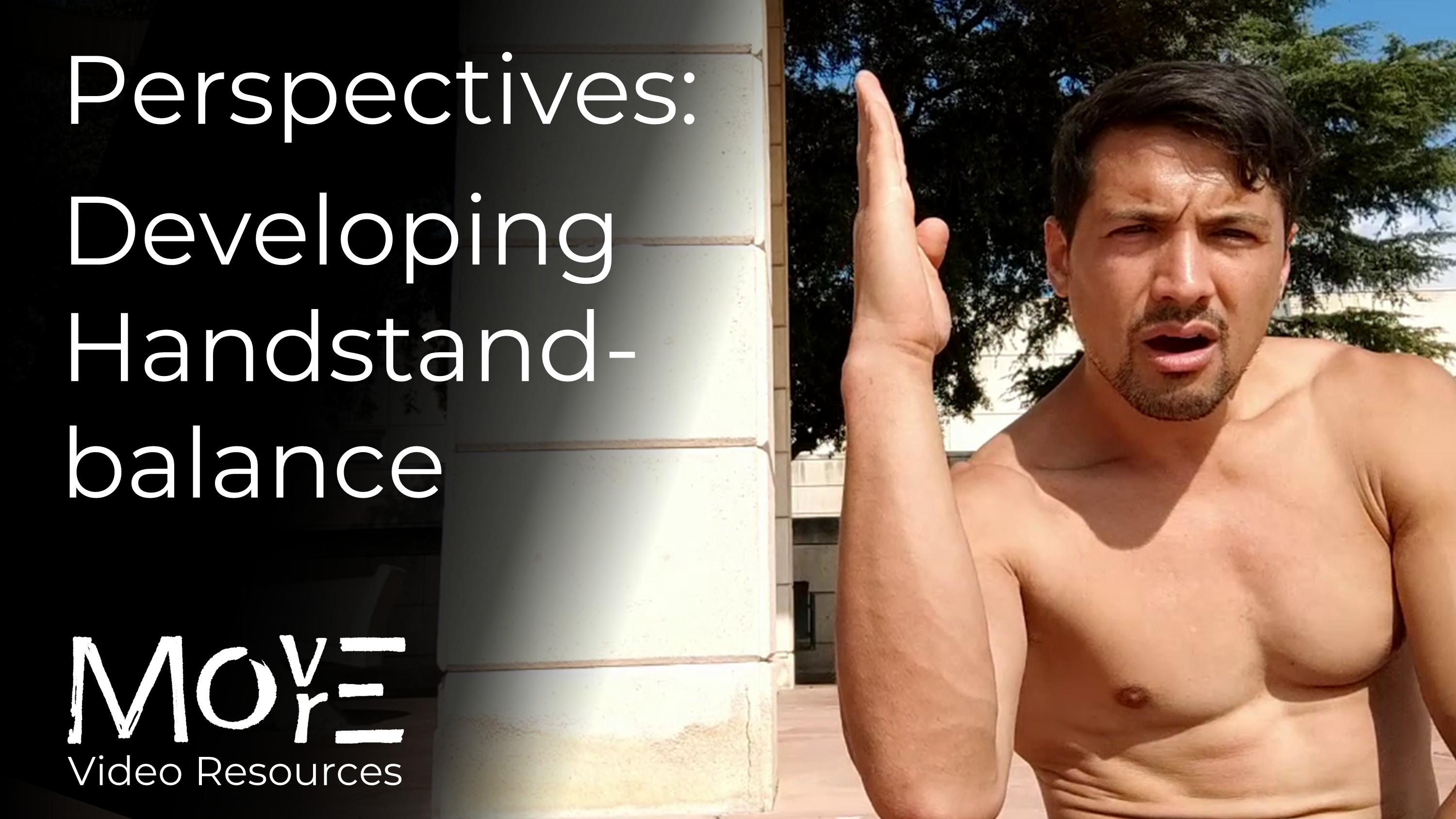 Perspectives on: Handstand balance-development