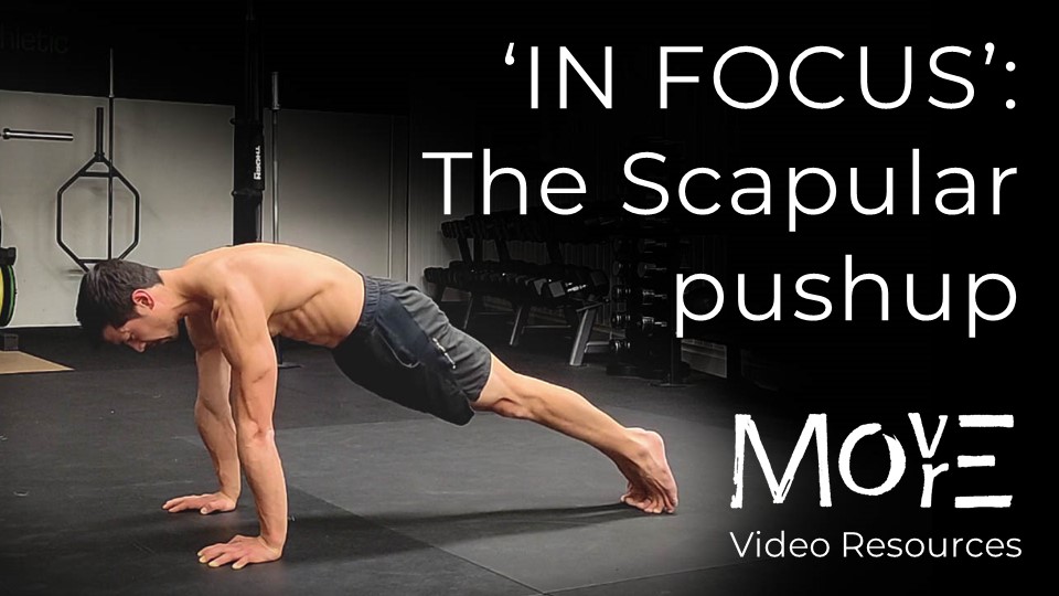 IN FOCUS: The Scapular Pushup
