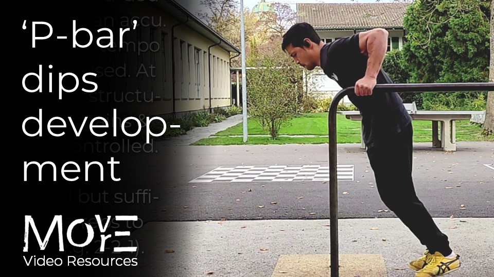 Fundamental 'P-bar' dips development