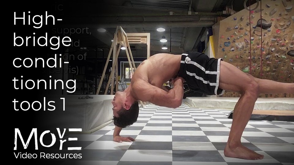 High-bridge conditioning tools 1 (4, 3, and 2-point supports)