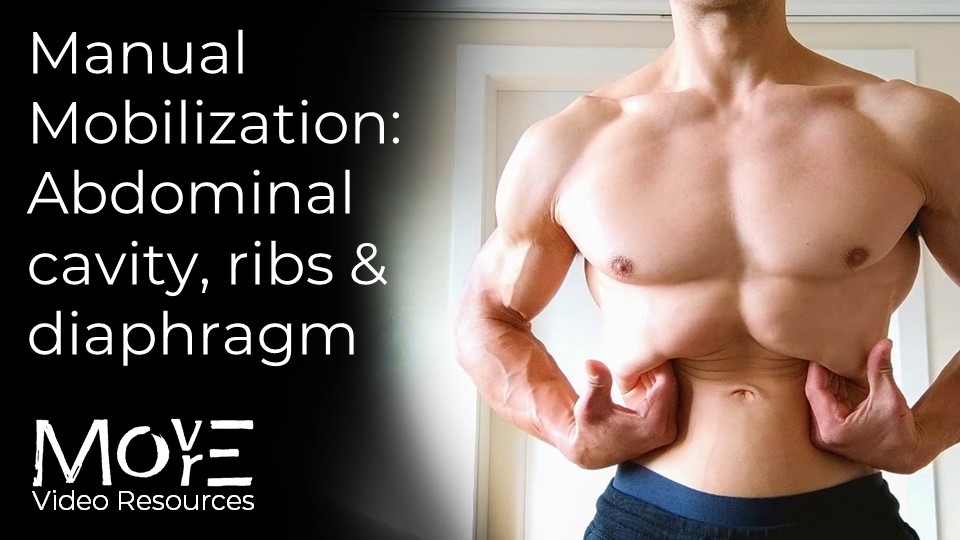 Manual Mobilization - Abdominal cavity, diaphragm & ribs