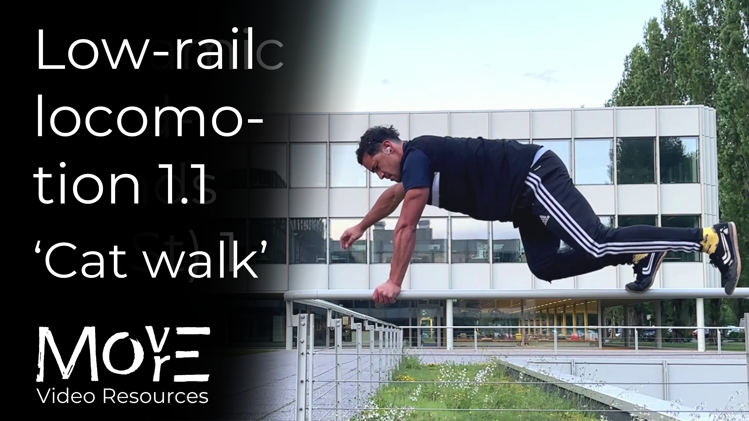 Low-rail locomotion 1.1 - Quadrupedal 'Cat-walk'