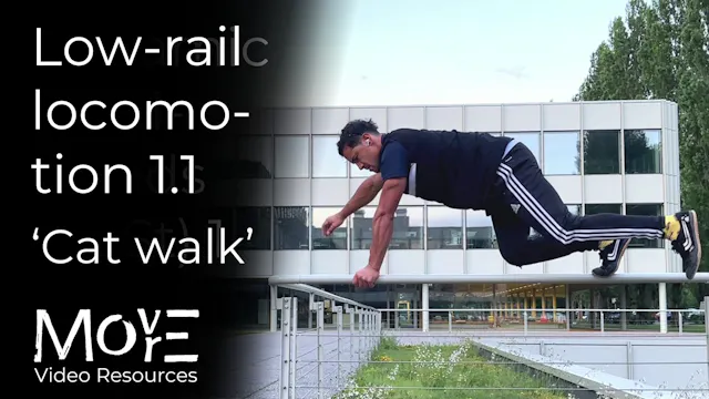 Low-rail locomotion 1.1 - Quadrupedal...