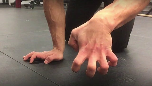 RE-/PREHAB: Fingers, wrists. forearms & elbows