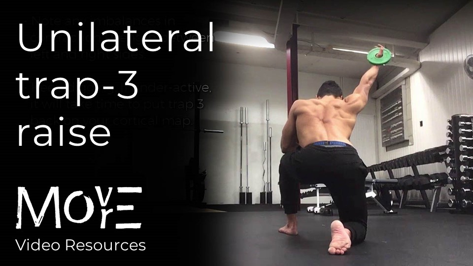 Unilateral 'Trap-3 Raise' (scapular stability)