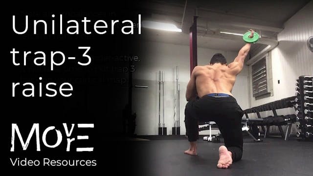 Unilateral 'Trap-3 Raise' (scapular s...