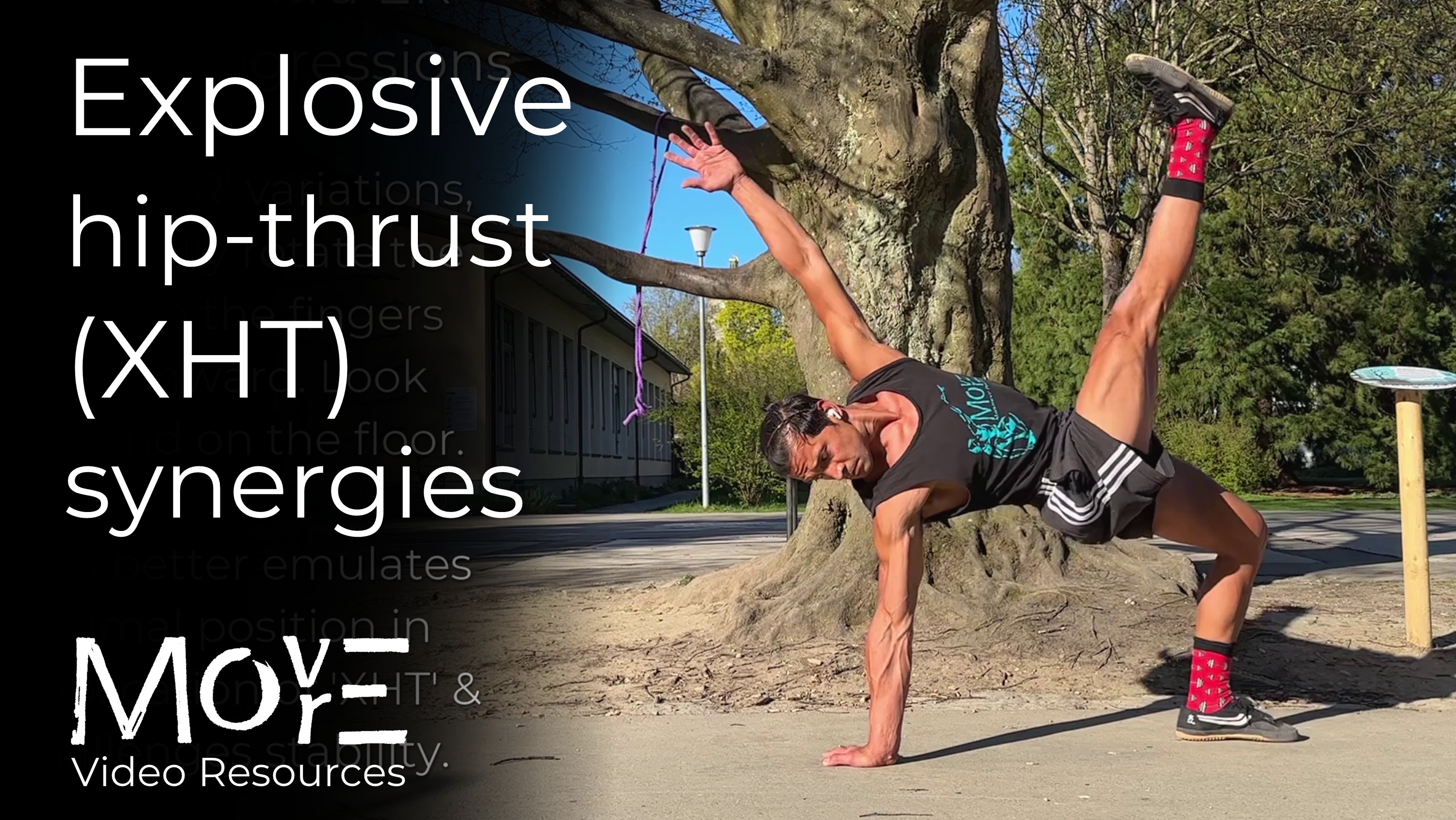Explosive hip-thrust (XHT) synergies