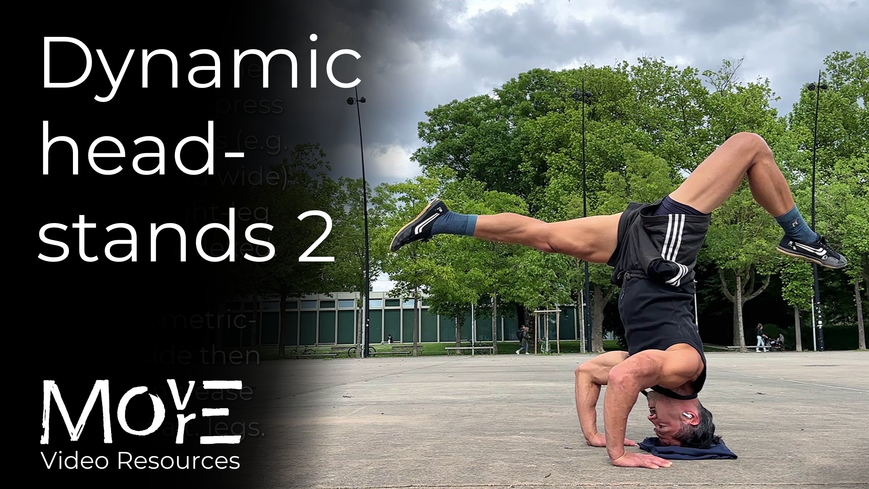 Dynamic-headstands (HeSt) 2 & FA (leg-proprioception)