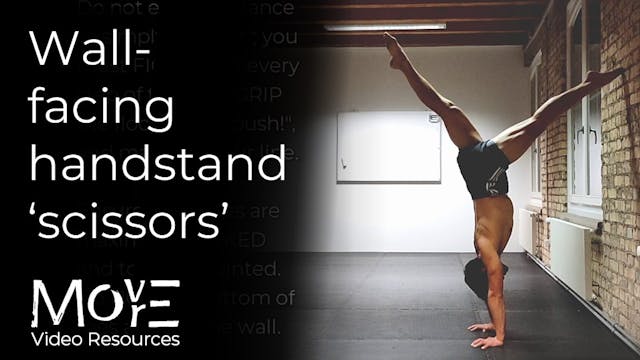 Wall-facing handstand (sagittal) 'sci...
