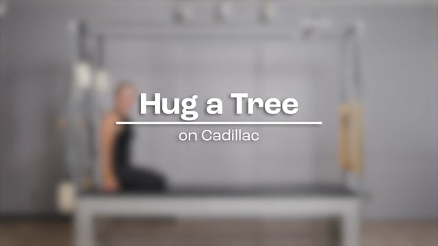 50 - Hug a Tree Take 2.mp4