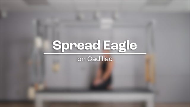 54 - Spread Eagle Take 2.mp4