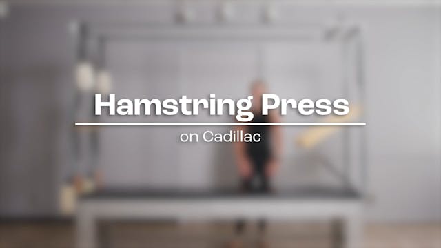 08 - Hamstring Press.mp4