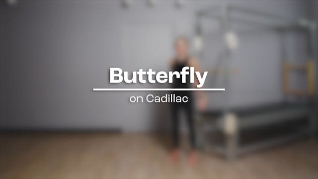 65 - Butterfly.mp4