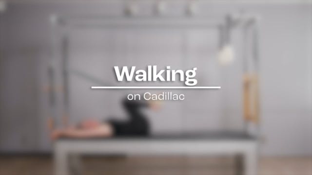 28 - Walking.mp4