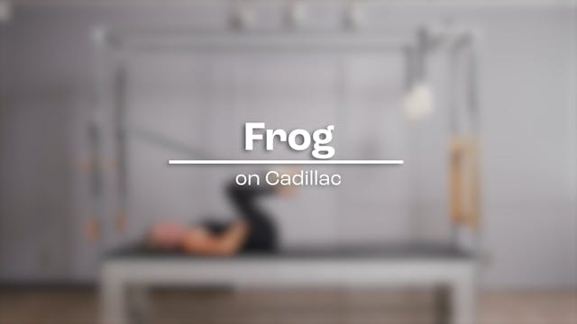 30 - Frog.mp4