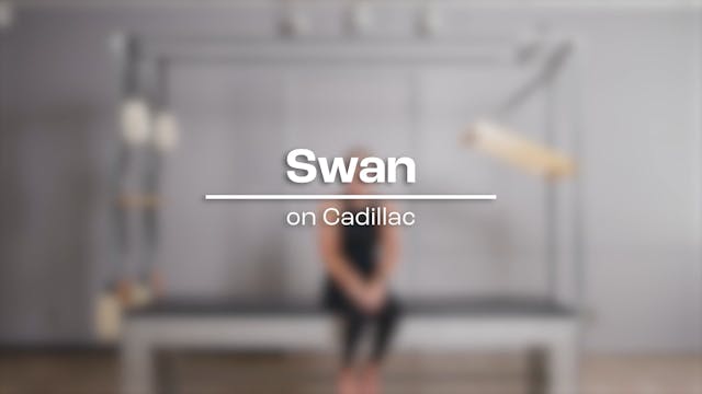 11 - Swan.mp4