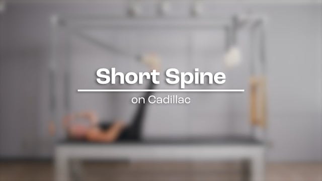 41 - Short Spine.mp4