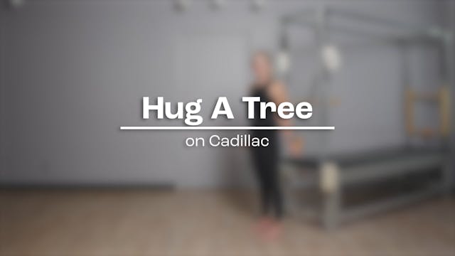 63 - Hug a Tree.mp4