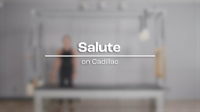 49 - Salute - NO AUDIO.mp4