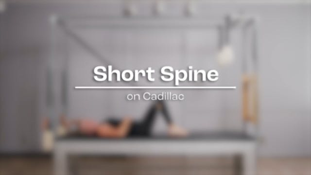 25 - Short Spine.mp4