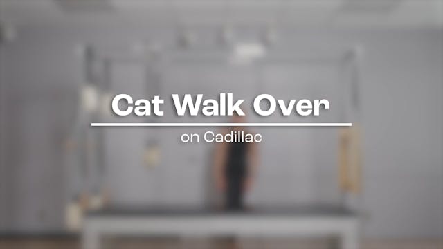 56 - Cat Walk Over.mp4